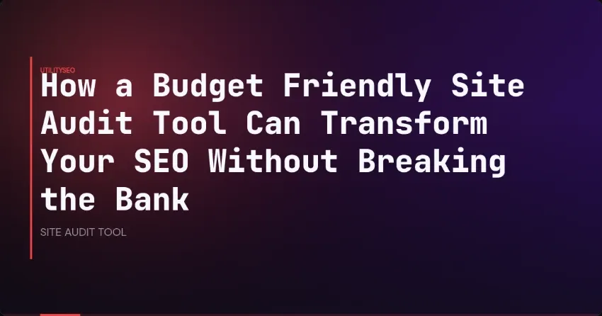Wie ein preiswertes Site-Audit-Tool Ihre SEO verändert, ohne das Budget zu sprengen